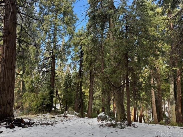 Home for Sale in Palomar Mountain