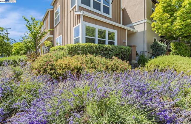 705 Cannery Pl, San Jose CA: https://media.crmls.org/mediaz/1ea31d8c-28c8-421f-a506-693a3e35dbcd.jpg