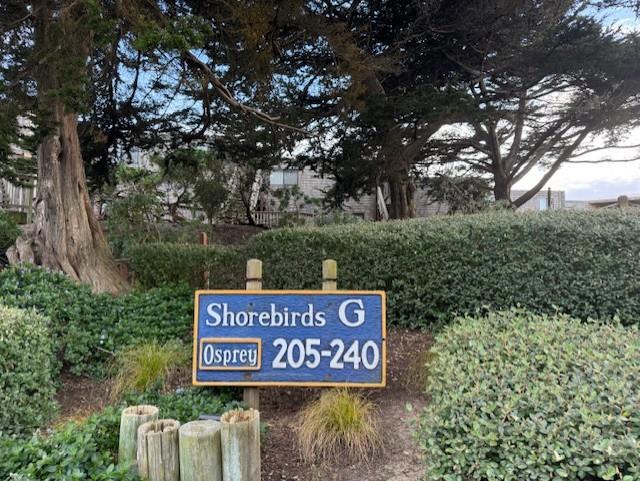 101 Shell Drive, Watsonville, California 95076, 1 Bedroom Bedrooms, ,1 BathroomBathrooms,Condominium,For Sale,Shell,ML81996157