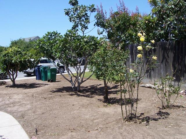 25620 Jefferson Street, Chualar CA: https://media.crmls.org/mediaz/1eb56537-57f1-4494-aac5-709eac872fd5.jpg