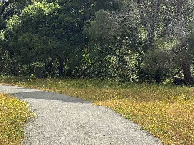 2950 Niles Canyon Rd, Castro Valley CA: https://media.crmls.org/mediaz/1eba6a0d-7825-45b5-ac97-22050cf1c3d1.jpg