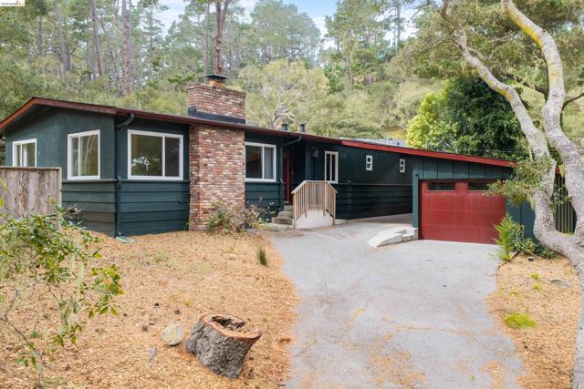 Single-story exterior with dark green siding, white-framed windows, brick chimney, and an attached garage with a red door