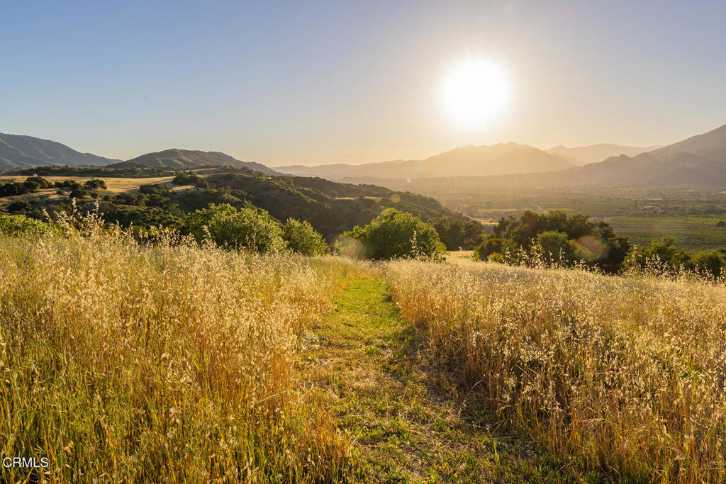 https://media.crmls.org/mediaz/1ec5a141-8697-4802-a177-a0a9fca0889e.jpg?preset=X-Large