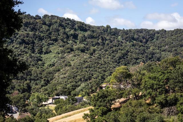 12008 Emerald Hill Lane, Los Altos Hills CA: https://media.crmls.org/mediaz/1ec957c8-8f0a-4b70-a7bb-94b13c0ba23b.jpg
