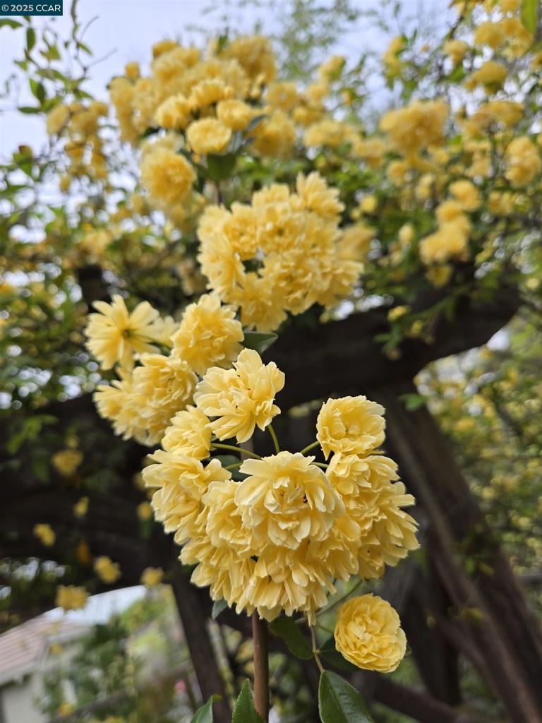 https://media.crmls.org/mediaz/1ed13637-cfd7-4114-aae1-d22ae0be0a75.jpg?preset=X-Large