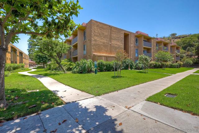 6955 Alvarado Rd, San Diego CA: https://media.crmls.org/mediaz/1ee9372b-1d08-4730-acf1-99613304349f.jpg
