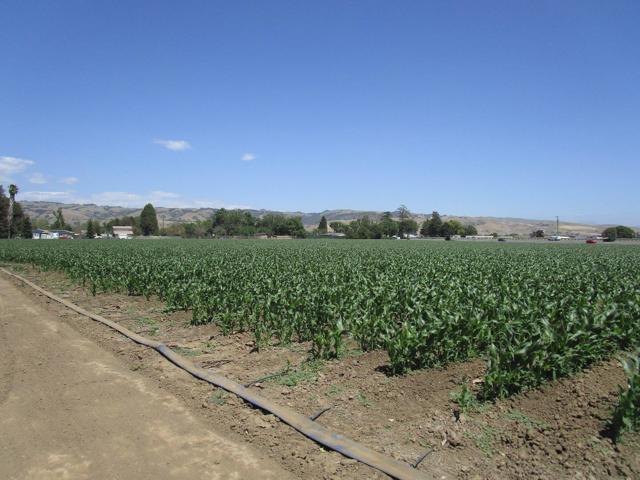 2025 Pacheco Pass Highway, Gilroy CA: https://media.crmls.org/mediaz/1eebc731-29eb-44e9-b7c7-3d64ad32ad3c.jpg