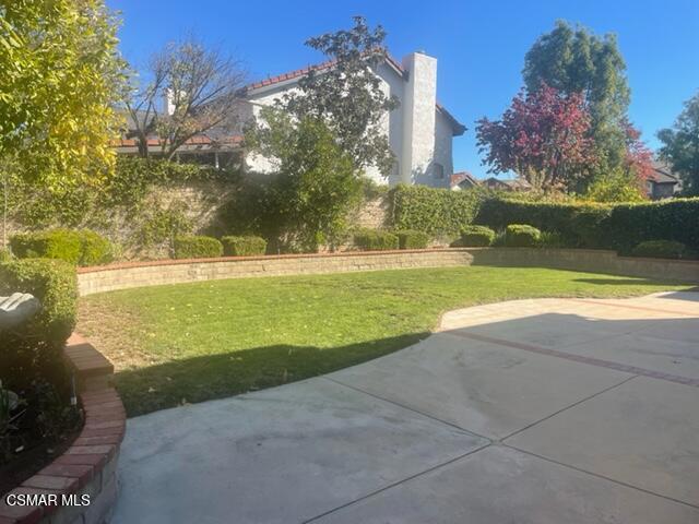 Grass and Patio View