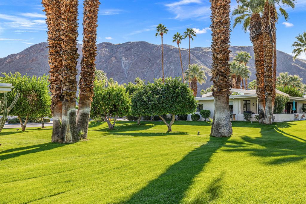 MLS #219139405DA image #29