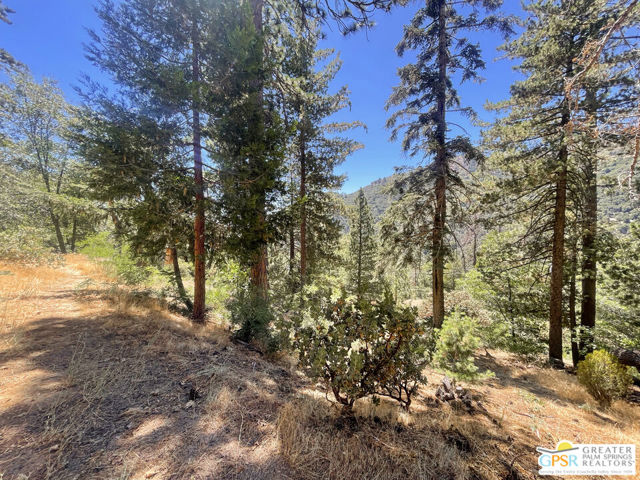 6307 Cedar Court, Angelus Oaks CA: https://media.crmls.org/mediaz/1efe2caf-0f47-45cd-b990-6ca339114839.jpg