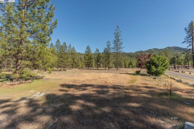 430 Bridge Rd, Douglas City CA: https://media.crmls.org/mediaz/1f101e6f-2812-4276-ab6d-47fee2ea0e53.jpg