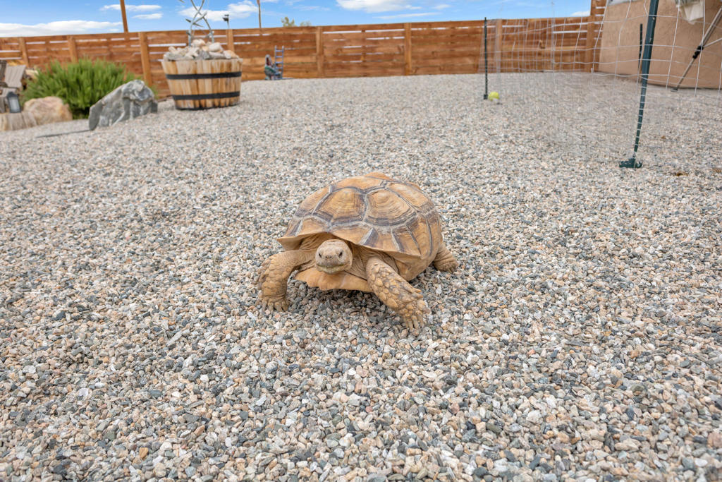 MLS #219134669DA image #45