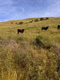 MLS #ML82051786 image #38