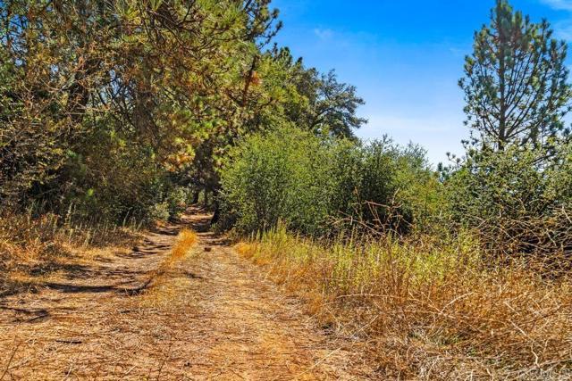 Detail Gallery Image 15 of 40 For 120 Ac Vacant Land Mesa Grande Rd, Santa Ysabel,  CA 92070 - – Beds | – Baths