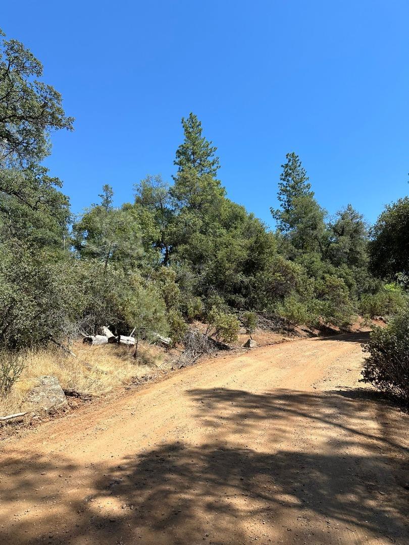 MLS #ML81974509 image #15