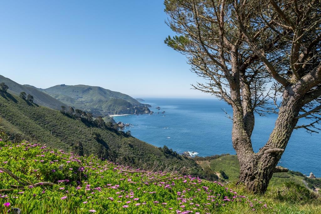 https://media.crmls.org/mediaz/1f43bd9c-6f76-440f-9556-94519ffc3cee.jpg?preset=X-Large