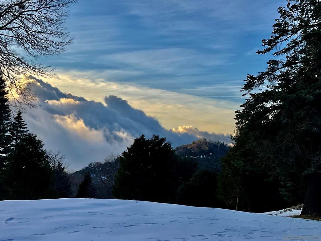 https://media.crmls.org/mediaz/1f4e0819-2971-48c1-bf74-c08f6b5f8773.jpg?preset=X-Large