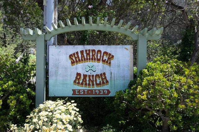 100 Shamrock Ranch Road, Pacifica CA: https://media.crmls.org/mediaz/1f57e92d-29f5-4fb8-8690-5cdcf2882dc0.jpg