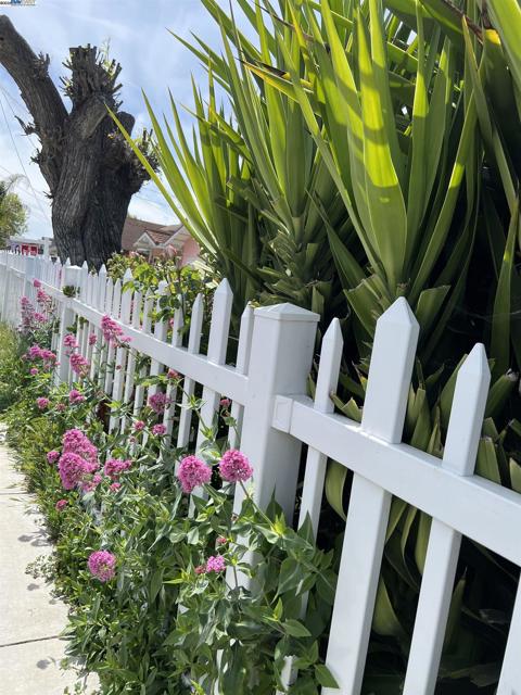 6223 Dairy Ave, Newark CA: https://media.crmls.org/mediaz/1f59ebb7-5305-4e32-aed3-fce9911b7eaf.jpg