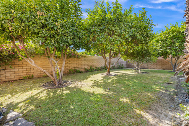 12 Boulder Lane, Rancho Mirage CA: https://media.crmls.org/mediaz/1f5b3ffe-aae6-4148-afe5-e94d509b78e7.jpg