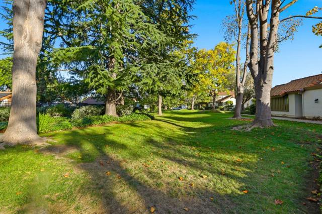 1092 Strayer Drive, San Jose CA: https://media.crmls.org/mediaz/1f679ceb-0ba8-4eb7-8710-59dcd1759f8c.jpg