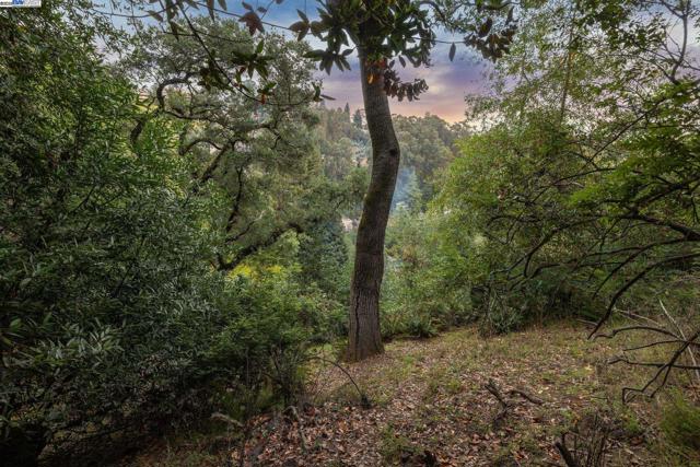 7171 HOMEWOOD DRIVE, Oakland CA: https://media.crmls.org/mediaz/1f689ecc-32ea-458d-a87a-df35e30788ad.jpg