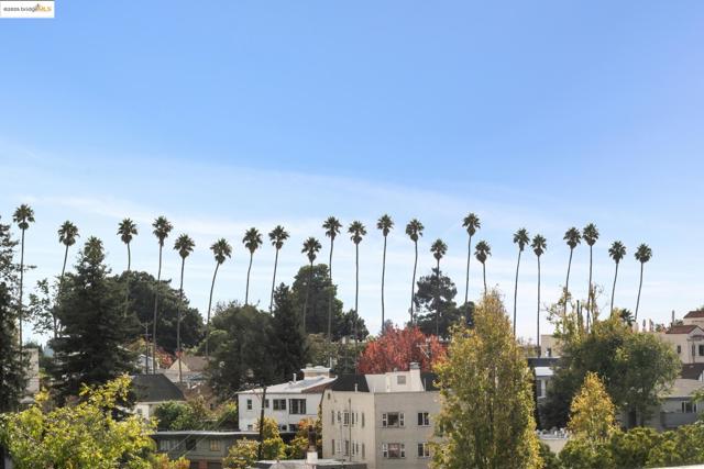 919 Mckinley Ave, Oakland CA: https://media.crmls.org/mediaz/1f6a5f7a-18cf-4dfa-8a0a-893fba5bc7b4.jpg