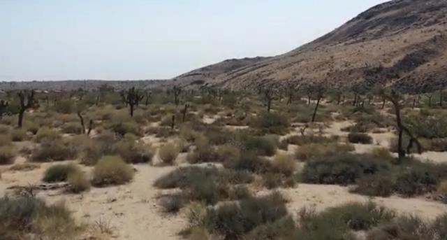 55455 Pipes Canyon, Pioneertown CA: https://media.crmls.org/mediaz/1f7b9955-5655-43b4-834c-26d5fb80dac0.jpg