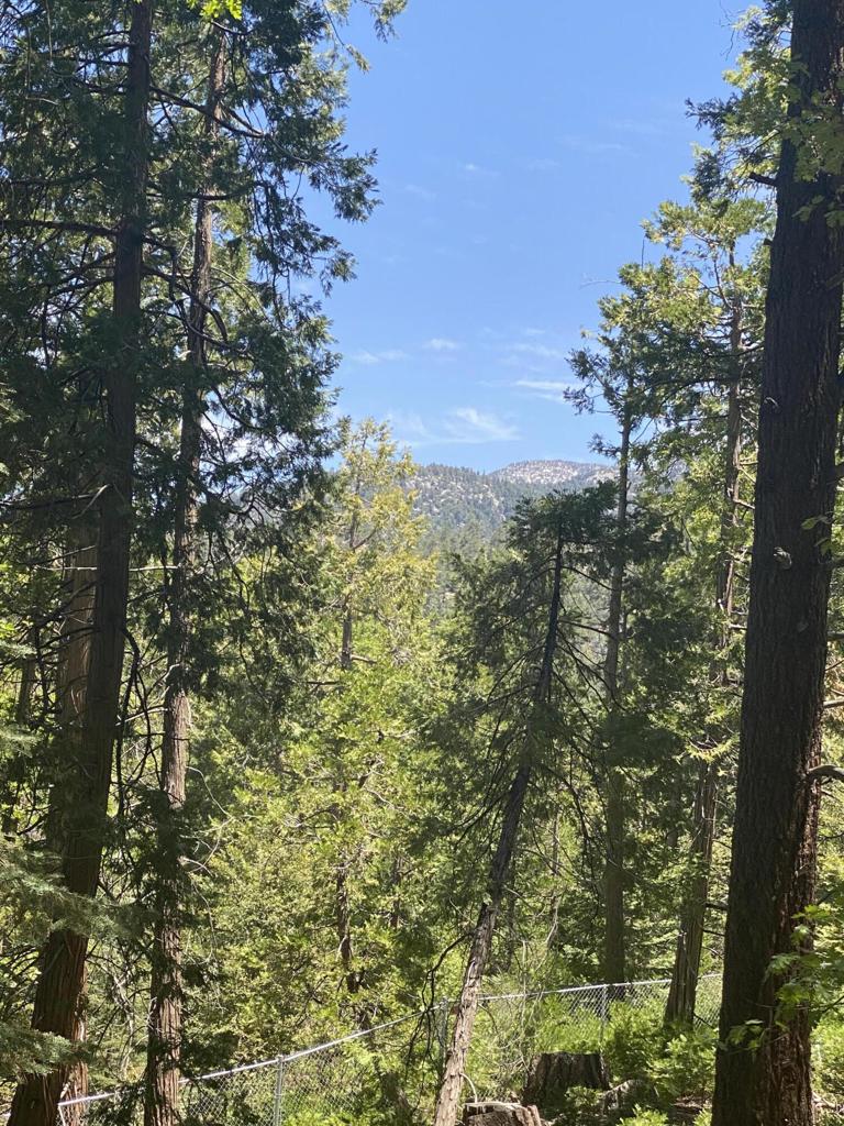 0 Fernland Drive Drive, Idyllwild, CA 92549