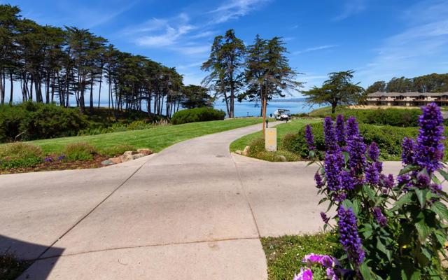 60 Seascape Resort Drive, Aptos CA: https://media.crmls.org/mediaz/1f8bf181-95aa-4203-971a-d71f66b75635.jpg