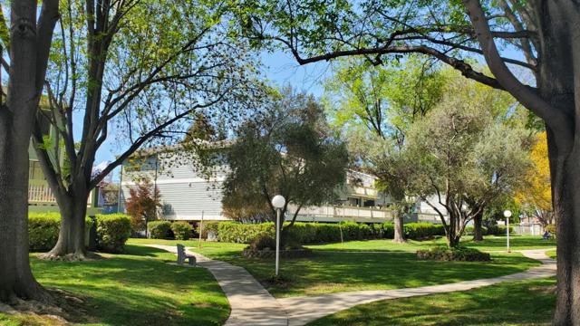 3467 Pinewood Terrace, Fremont CA: https://media.crmls.org/mediaz/1f8d0667-df3b-418b-a55d-3c81c691e06d.jpg
