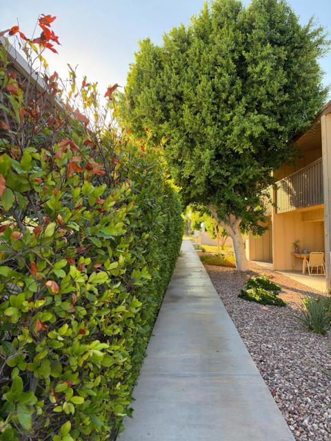 77845 California #D9, Palm Desert, CA 92211