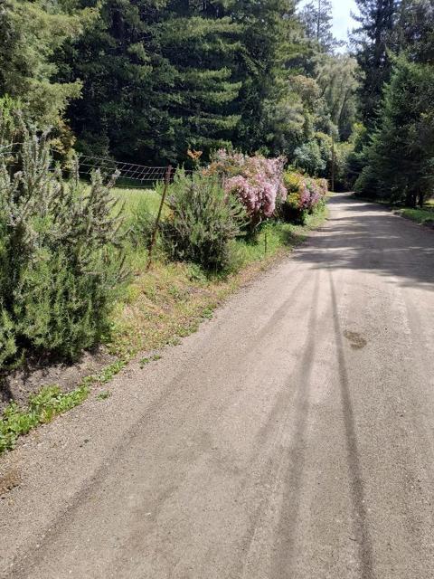 1380 Amaya Ridge Road, Soquel CA: https://media.crmls.org/mediaz/1f95c10d-c54d-4bc9-9455-2a4fefeba17d.jpg