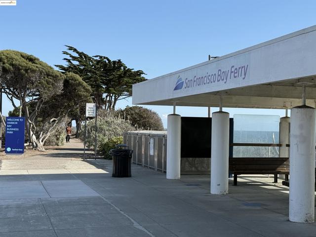 311 Channing Way, Alameda CA: https://media.crmls.org/mediaz/1f9699c3-2984-4f5c-8680-b0dcb4b5648e.jpg