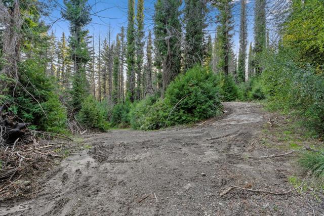 21200 Big Basin Way, Boulder Creek CA: https://media.crmls.org/mediaz/1fadf1e3-22a4-4a07-b353-b5b369c33cd3.jpg