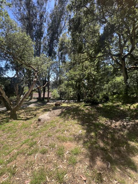 17160 Wilson Way, Royal Oaks CA: https://media.crmls.org/mediaz/1fbaed7b-3870-417b-8e16-891028d35978.jpg