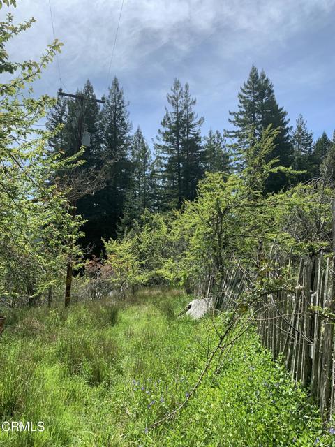 Detail Gallery Image 4 of 41 For 23501 Branscomb Rd, Westport,  CA 95488 - – Beds | – Baths