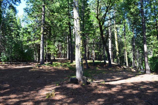 3112 Apache Road, Dorrington CA: https://media.crmls.org/mediaz/1fc59599-f493-42bd-919c-3ee9ab930d89.jpg