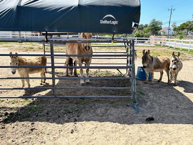15570 Del Monte Farms Road, Castroville CA: https://media.crmls.org/mediaz/1fc7ab24-4e86-434e-9927-ba1b6ded4397.jpg