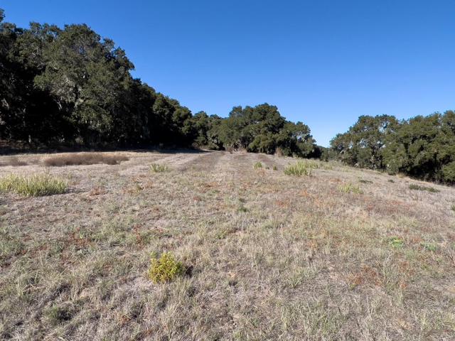 7 Holding Field Run, Carmel Valley CA: https://media.crmls.org/mediaz/1fc955bf-9f7b-4ced-a0fb-ec11fcabd1f5.jpg