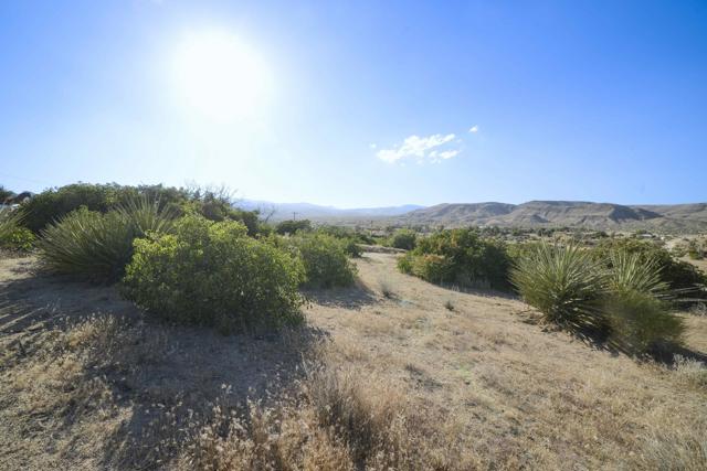 0 Minna Gombell Lane, Pioneertown CA: https://media.crmls.org/mediaz/1fcc1cb1-b972-431b-8773-91d784e0d811.jpg