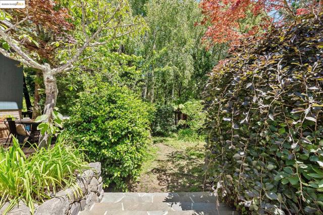 39 Norwood Ave, Kensington CA: https://media.crmls.org/mediaz/1fd52ab7-7141-47ee-88f7-9c224b0b7688.jpg