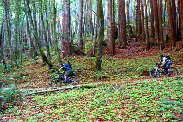 510 Warren Drive, Santa Cruz CA: https://media.crmls.org/mediaz/1fdd020f-06b8-4cb8-bf33-7e9a6240836b.jpg