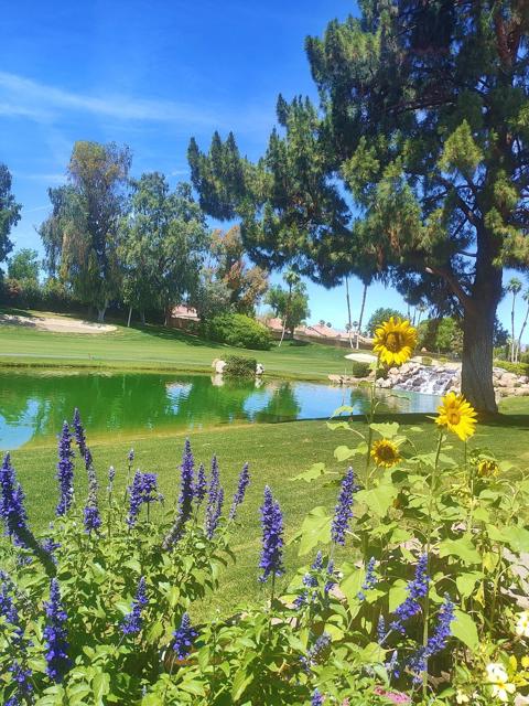 41715 Woodhaven Drive W, Palm Desert, CA 92211