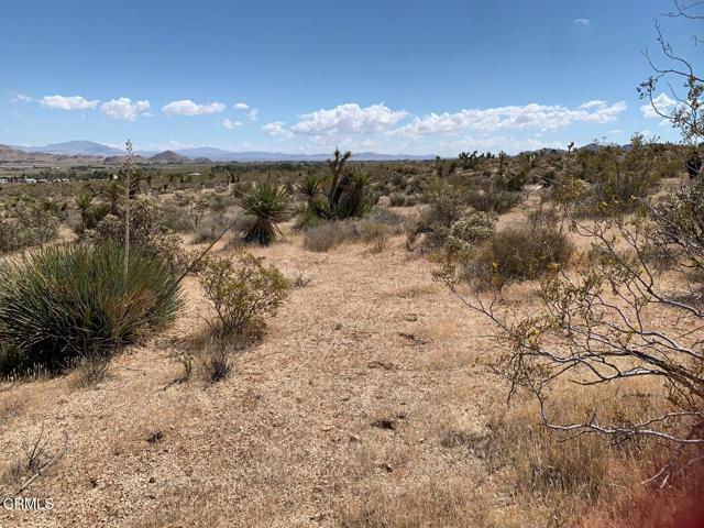 Detail Gallery Image 6 of 9 For 0 Mountain View Rd, Lucerne Valley,  CA 92356 - – Beds | – Baths