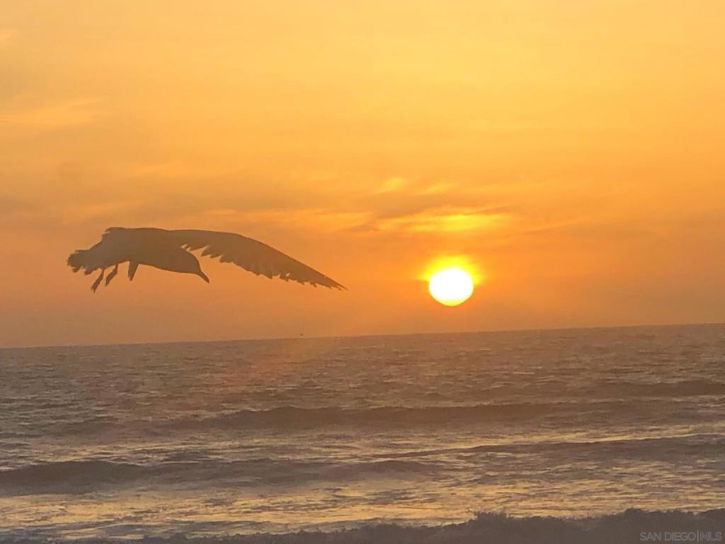 https://media.crmls.org/mediaz/1ff612c2-f927-49b1-aede-f484c6682fef.jpg?preset=X-Large