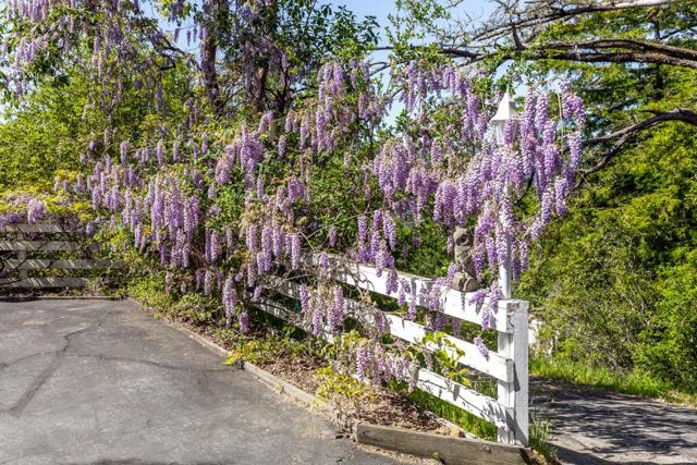 708 Ralston, Boulder Creek CA: https://media.crmls.org/mediaz/1ff6c1f1-6b2b-4e62-b8fe-042849db8ec7.jpg
