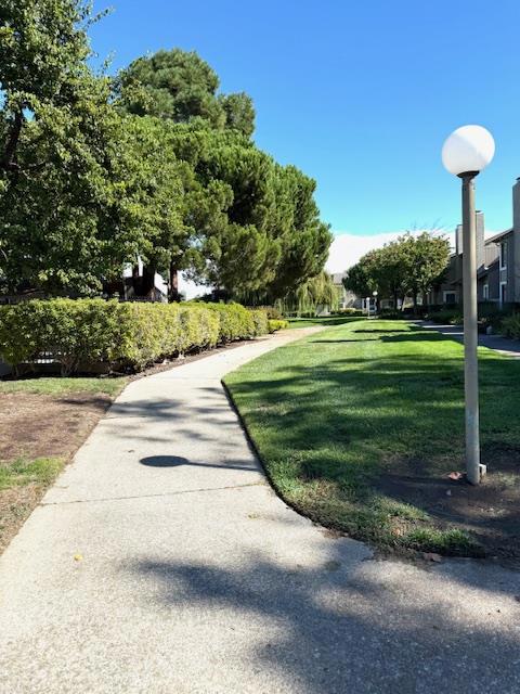 1431 Marlin Avenue, Foster City CA: https://media.crmls.org/mediaz/1ff81977-e76c-4dcb-bee2-0206b746629c.jpg