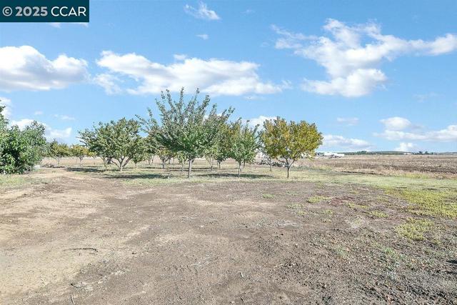 2280 Concord Ave, Brentwood CA: https://media.crmls.org/mediaz/1ffb1639-6c07-40f4-8c92-855c6f985d8a.jpg