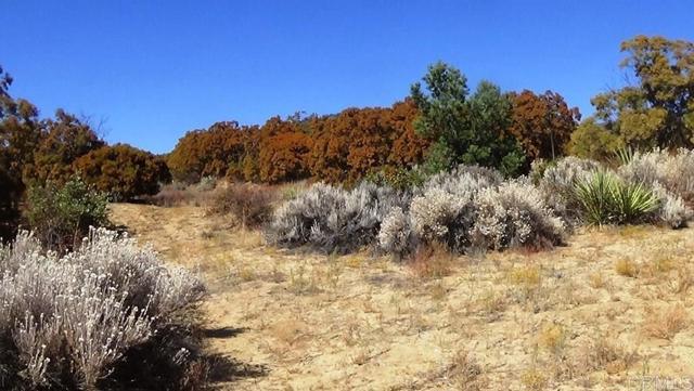 Detail Gallery Image 15 of 41 For 37245 Old Forest Rd, Anza,  CA 92539 - – Beds | – Baths